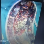 WhatsApp Image 2023-07-05 at 11.29.55 AM (1)